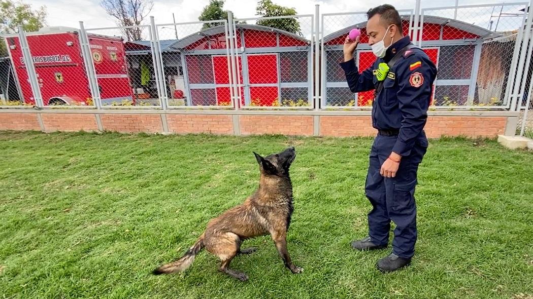 Nuevo centro de entrenamiento canino del Cuerpo de Bomberos de Bogotá 