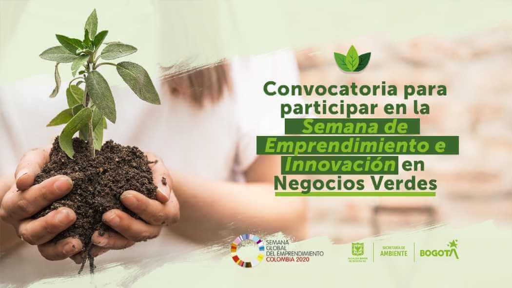 Imagen de Secretaría de Ambiente.