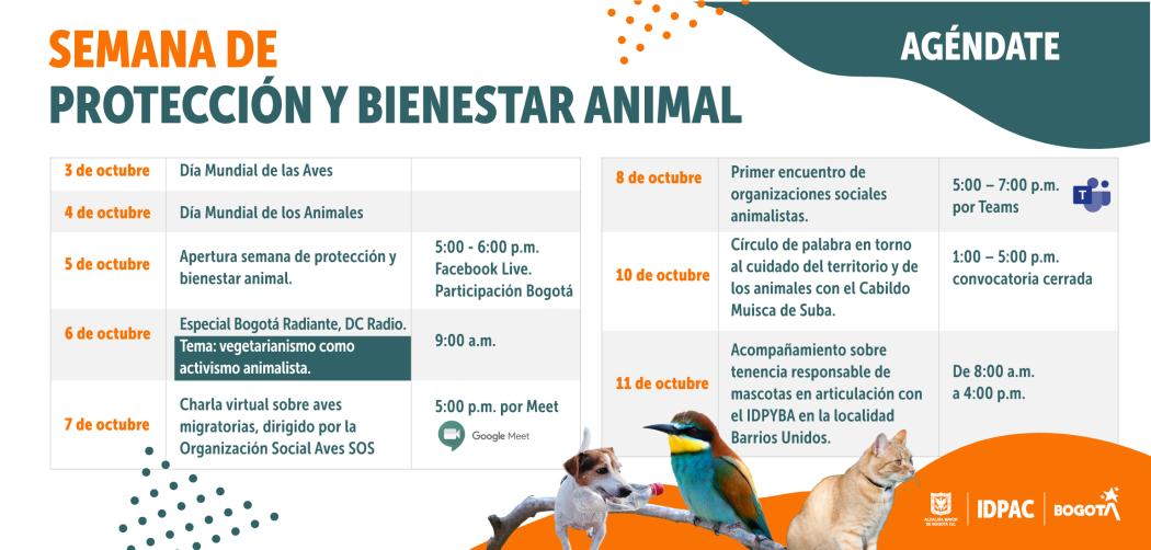 Cronograma de actividades en la Semana de Protección y Bienestar Animal.