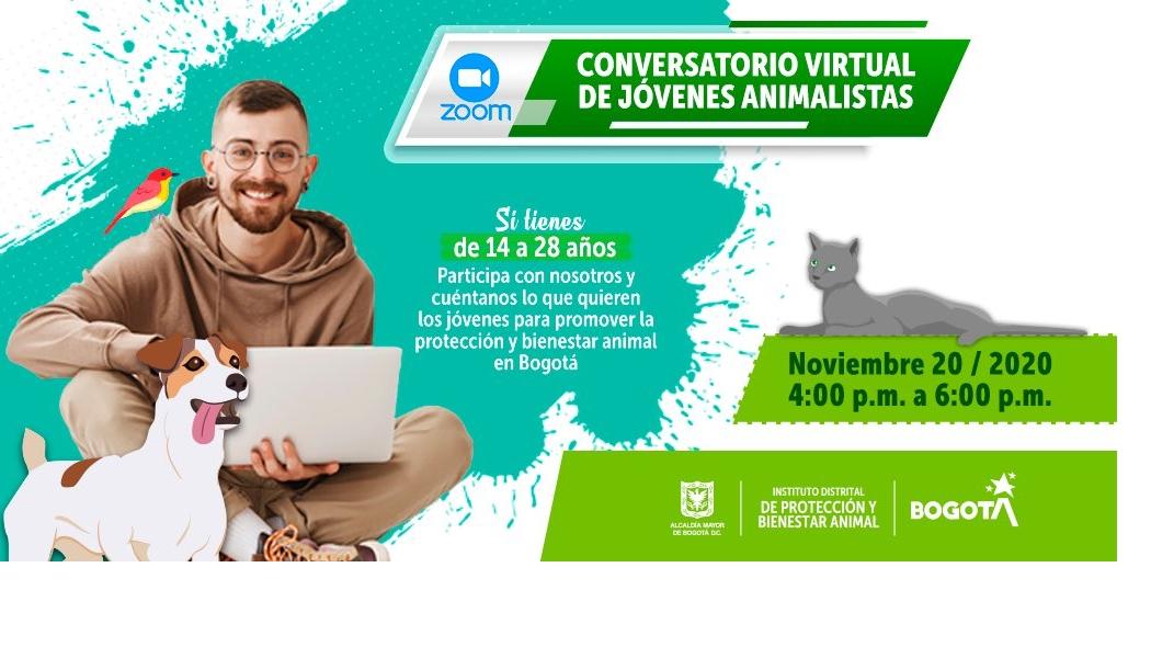 Conversatorio virtual de jóvenes animalistas en Bogotá