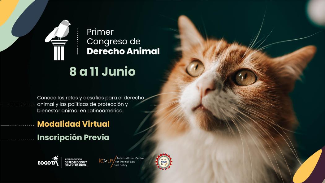 Conoce los retos y desafíos para el derecho animal y las políticas de protección en Latinoamérica entre el 8 y el 11 de junio. Imagen: IDPYBA 