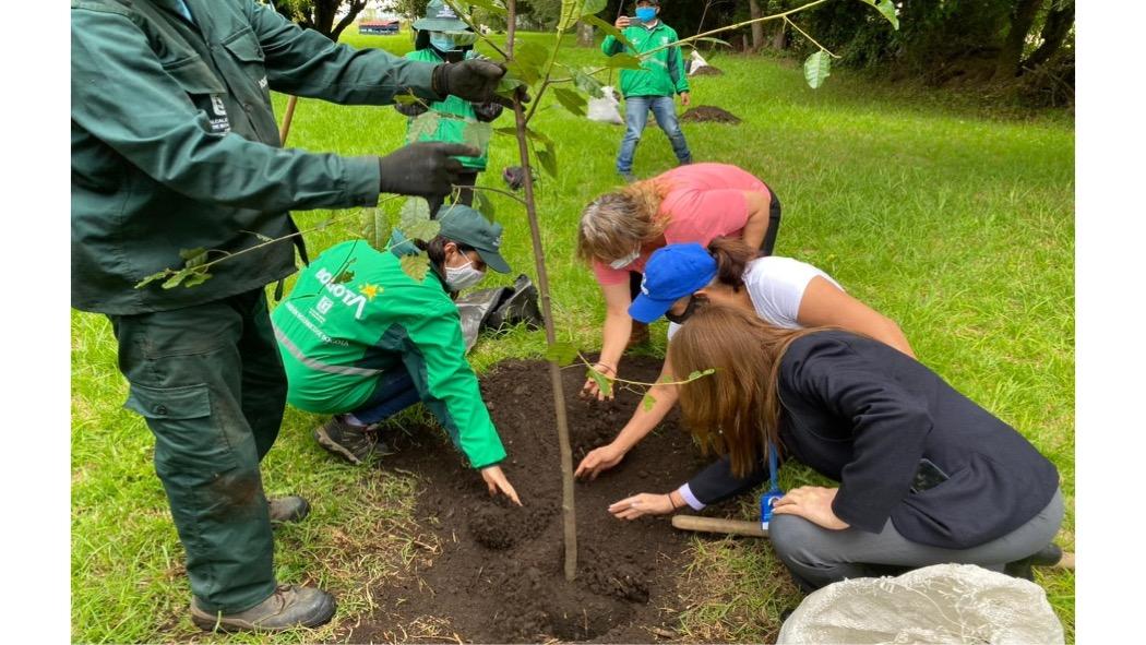 La comunidad se unió para plantar árboles y conformar una red de cuidadores para fortalecer las coberturas vegetales de la vereda Chorrillos. Foto: Jardín Botánico de Bogotá