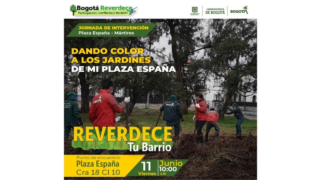 Durante la Jornada se adelantará la iniciativa #ReverdeceTuBarrio, en articulación con líderes ambientales del sector y en el marco de la estrategia Bogotá Reverdece. Imagen: Jardín Botánico