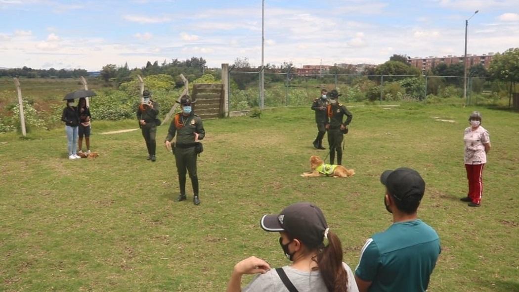 Los carabineros han rescatado en Bogotá en lo corrido del 2021 a 55 animales de diferentes especies