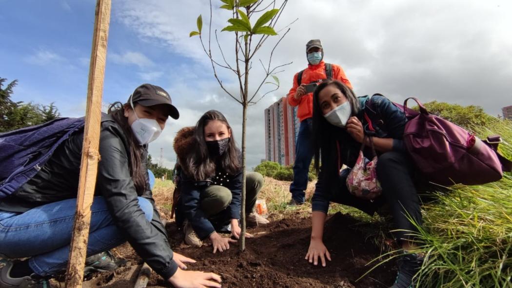 La EAAB invierte 10 mil millones de pesos en la plantación de nuevos árboles que ampliarán la infraestructura verde de la ciudad.Foto: Acueducto de Bogotá