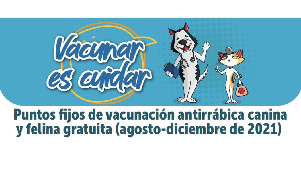Los días festivos no hay atención en los puntos de vacunación antirrábica. Recuerda que debes llevar a tu animal cada año a la vacuna. Pieza: Secretaría de Salud. 