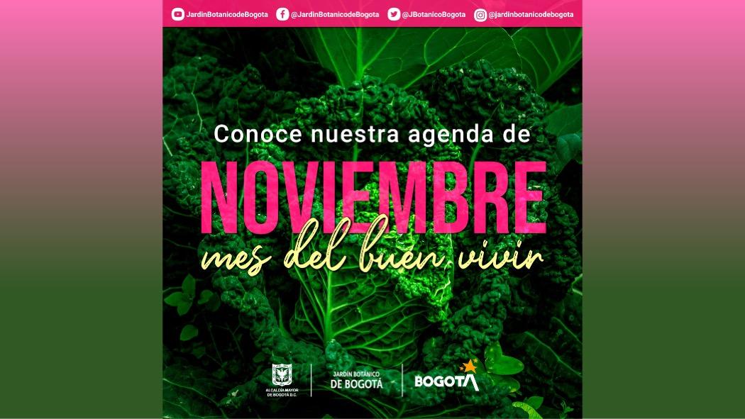 Cronograma de actividades para el mes de noviembre en el Jardín Botánico