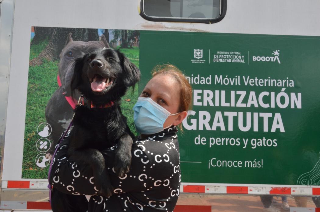 Esterilizaciones de perros y gatos gratuitas este diciembre en Bogotá