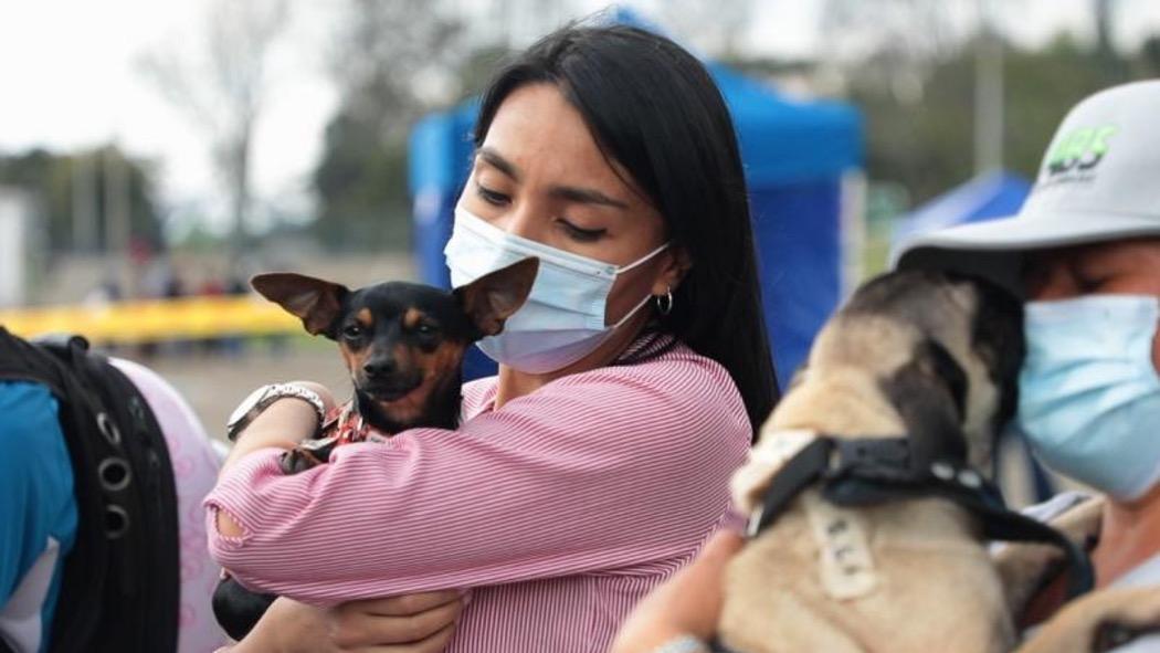 Turnos disponibles de esterilización de animales en diciembre