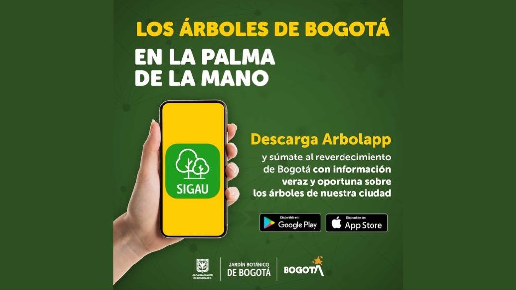 Con 'arbolApp', podrás conocer datos de los árboles de Bogotá 