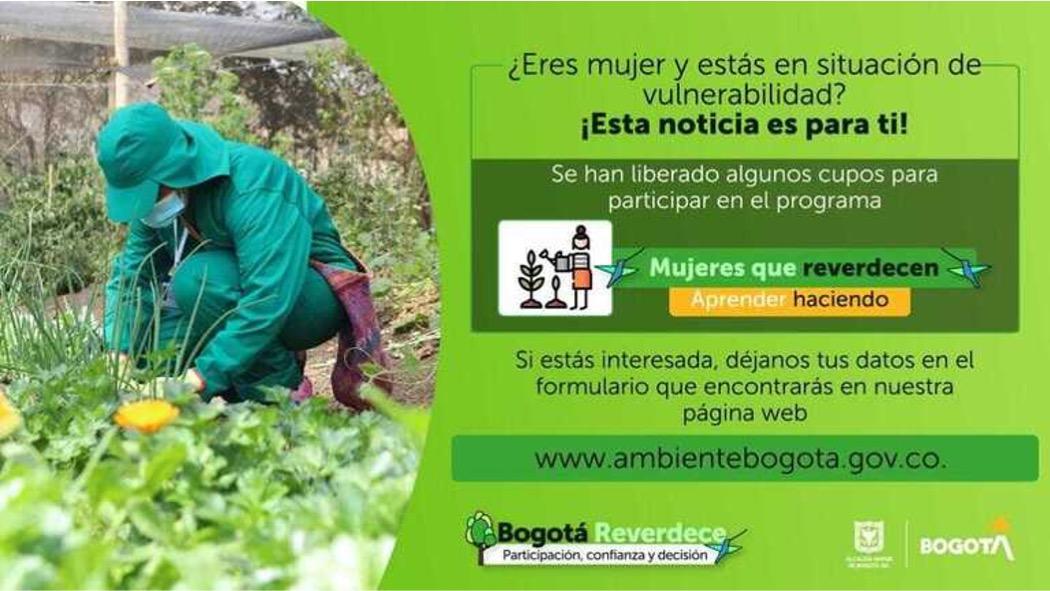 Mujeres que Reverdecen tiene 200 cupos disponibles en Bogotá