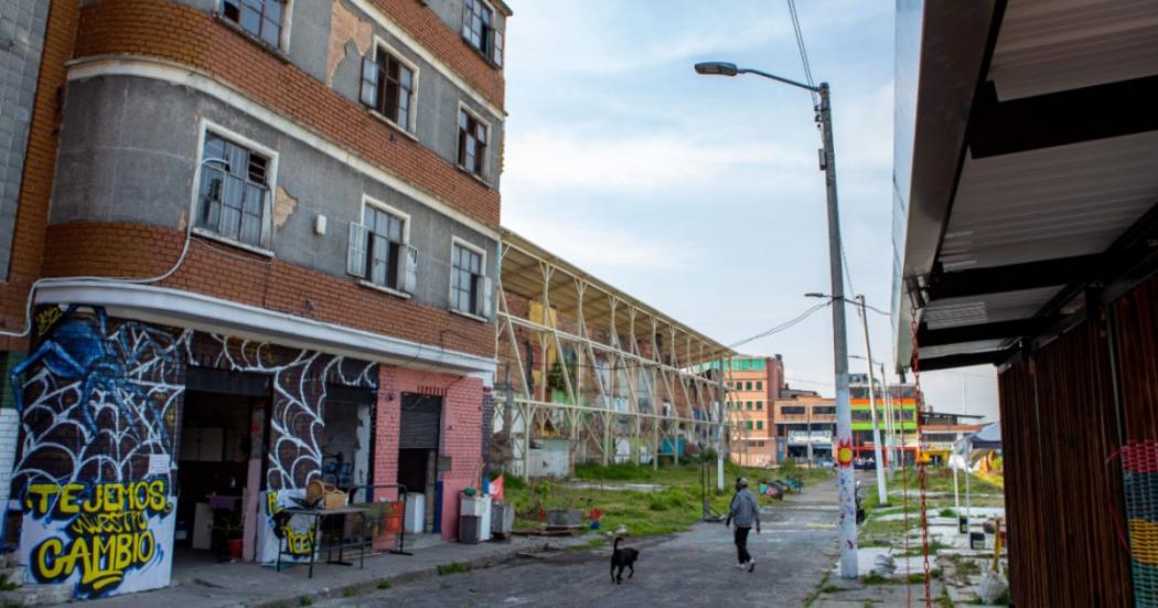 Herbario del Bronx: vida y memoria entre las ruinas 