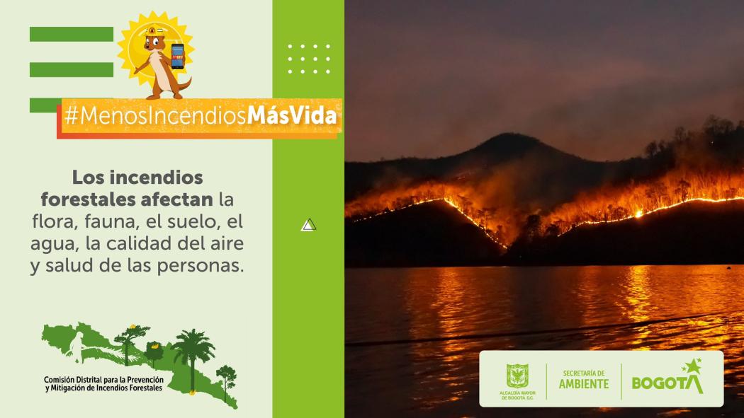 ¿Cómo evitar incendios forestales en la ciudad de Bogotá?