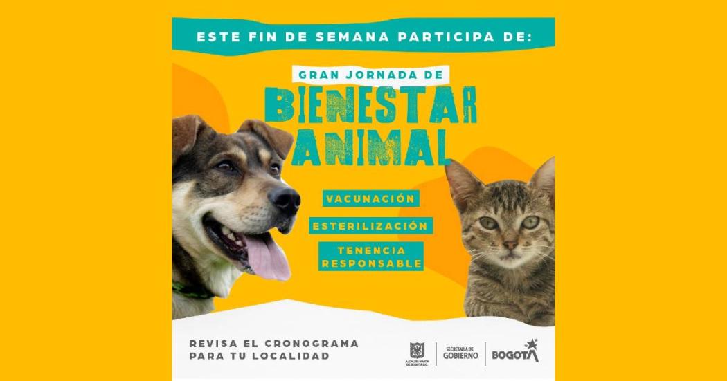 Jornadas de bienestar para perros y gatos en Bogotá. Domingo 27 marzo