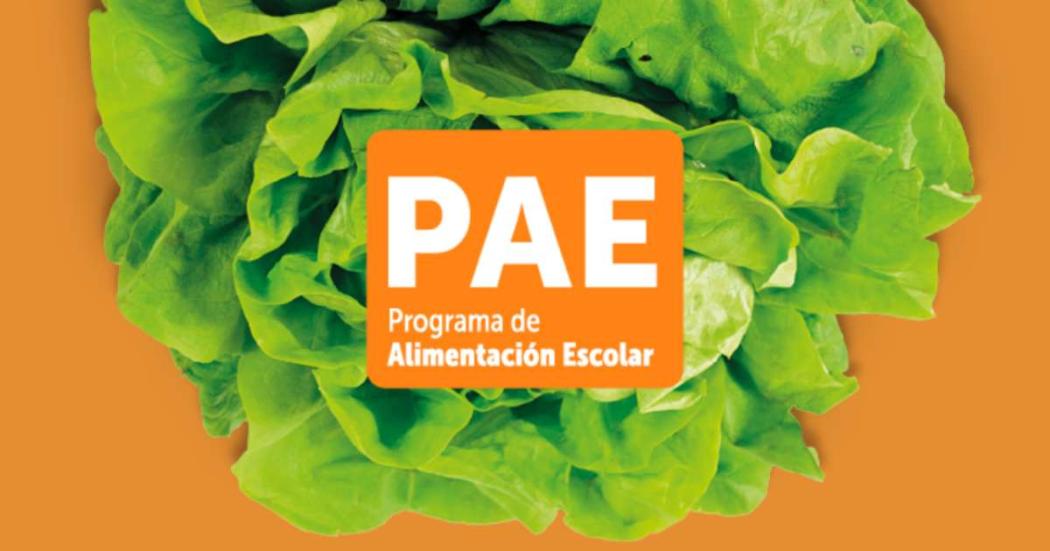 Bogotá: PAE 2023 habilitó convocatoria para empresas de alimentos 