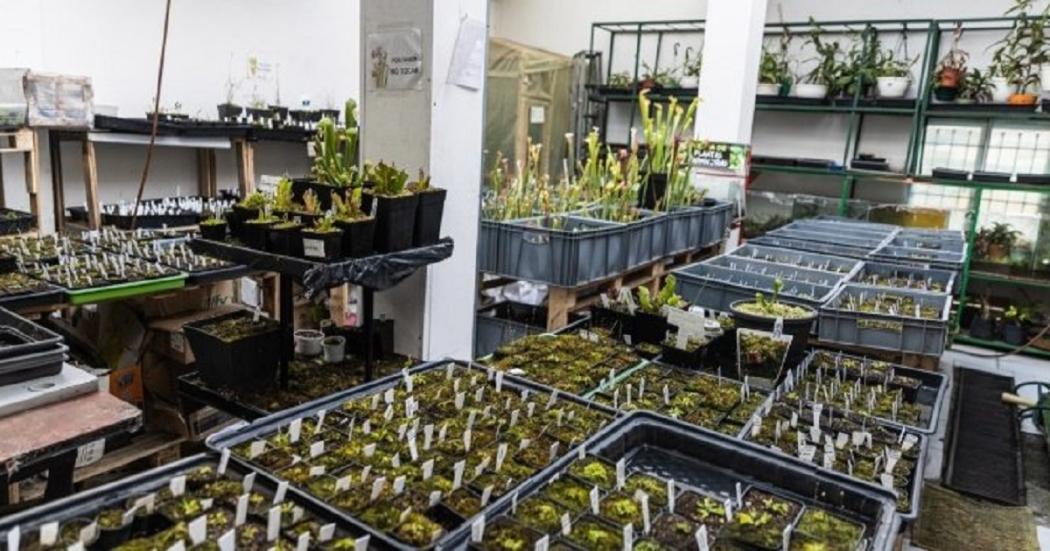 'Microempresa Local' impulsó proyecto plantas carnívoras de Bioespacio