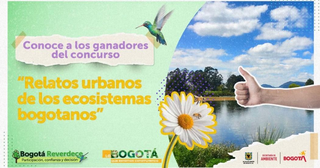 Relatos urbanos de los ecosistemas bogotanos: Ganadores del concurso