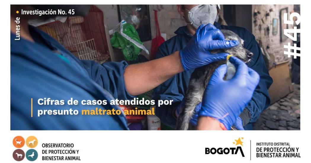 Instituto de Protección y Bienestar Animal: Formas de maltrato animal