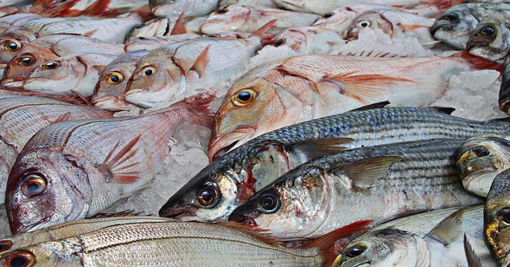 Recomendaciones para el consumo de pescado en Semana Santa 2022