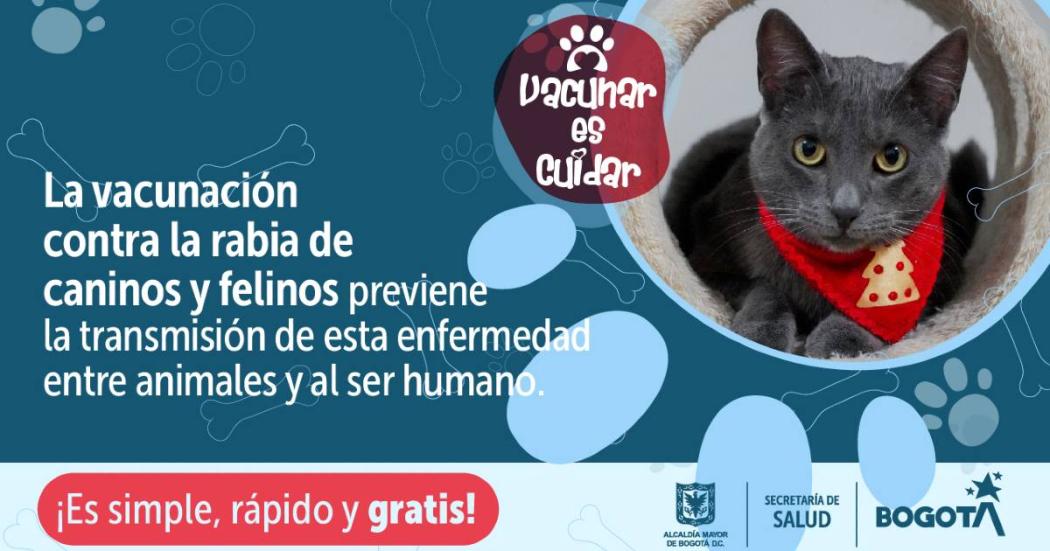 Puntos de vacunación contra la rabia para perros y gatos en Bogotá