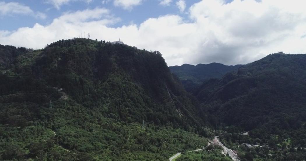 Áreas protegidas, estrategia para enfrentar crisis climática en Bogotá