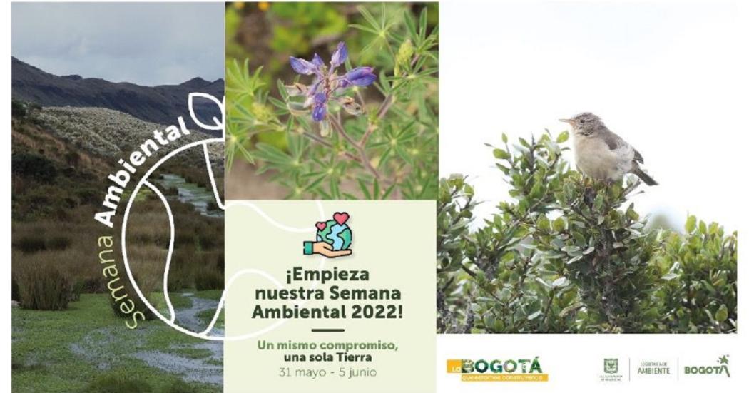 Programación de la Semana Ambiental 2022 en Bogotá: caminatas y más