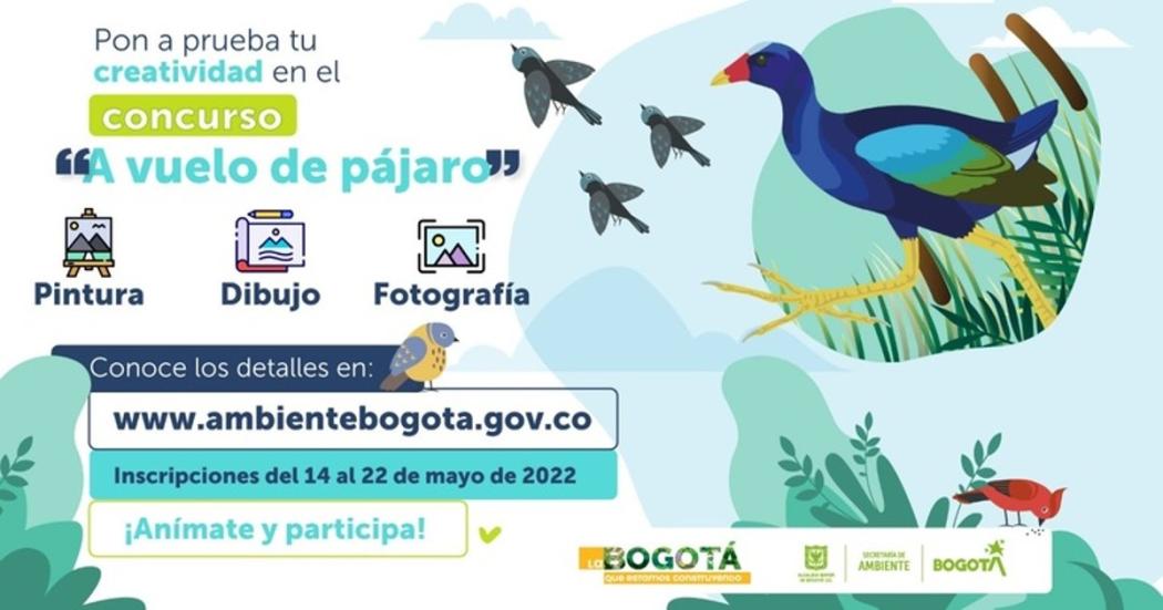 Concurso 'A vuelo de pájaro' para niños, niñas, adolescentes y adultos
