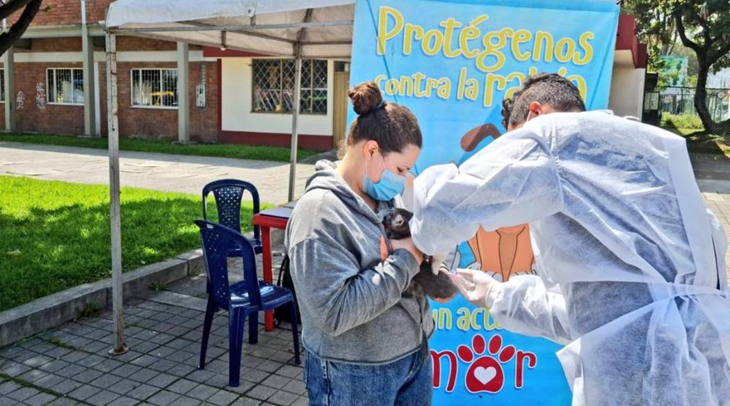 Vacunación contra la rabia a perros y gatos en localidad Los Mártires