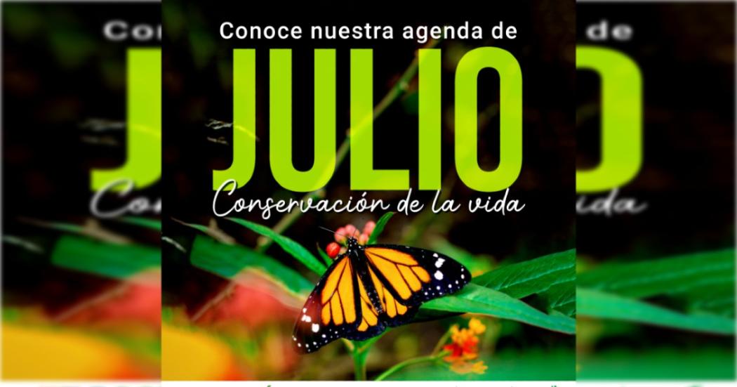 Jardín Botánico de Bogotá: Cronograma de actividades en julio de 2022