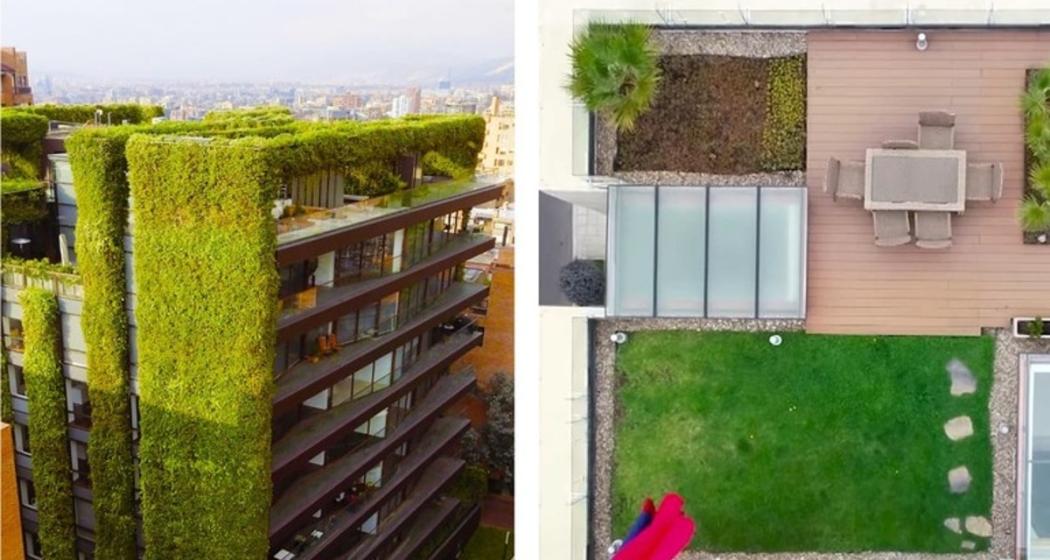 Conoce las ventajas de los techos verdes y los jardines verticales 