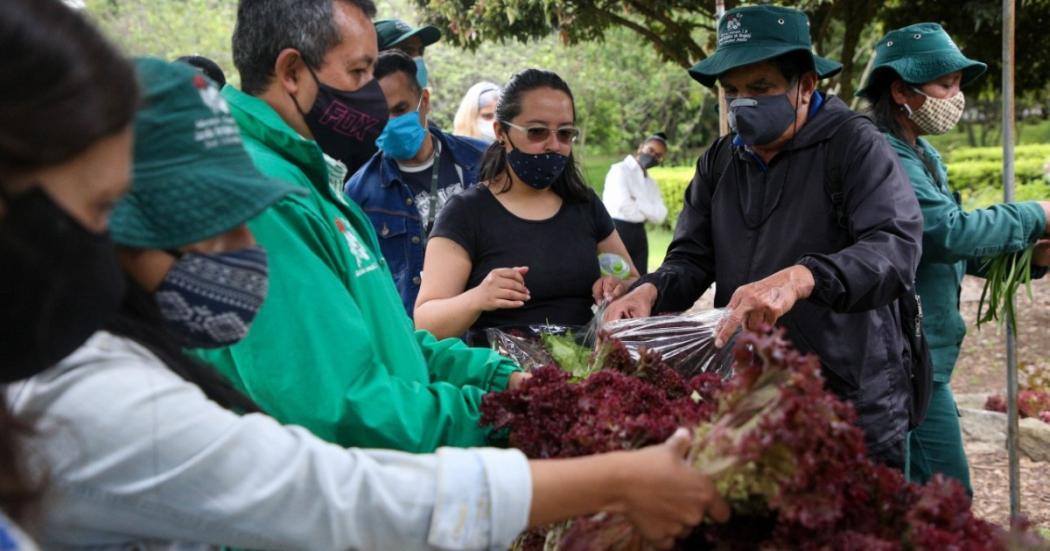 ¿Dónde hay cursos gratis sobre agricultura urbana en Bogotá? Infórmate