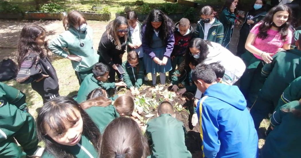 Estudiantes compartirán experiencias sobre huertas escolares en Bogotá