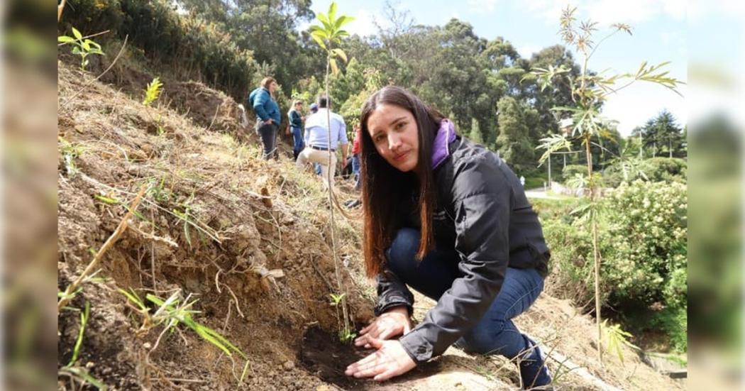 1.119 árboles se sembraron en Bogotá en el Mes del Espacio Público