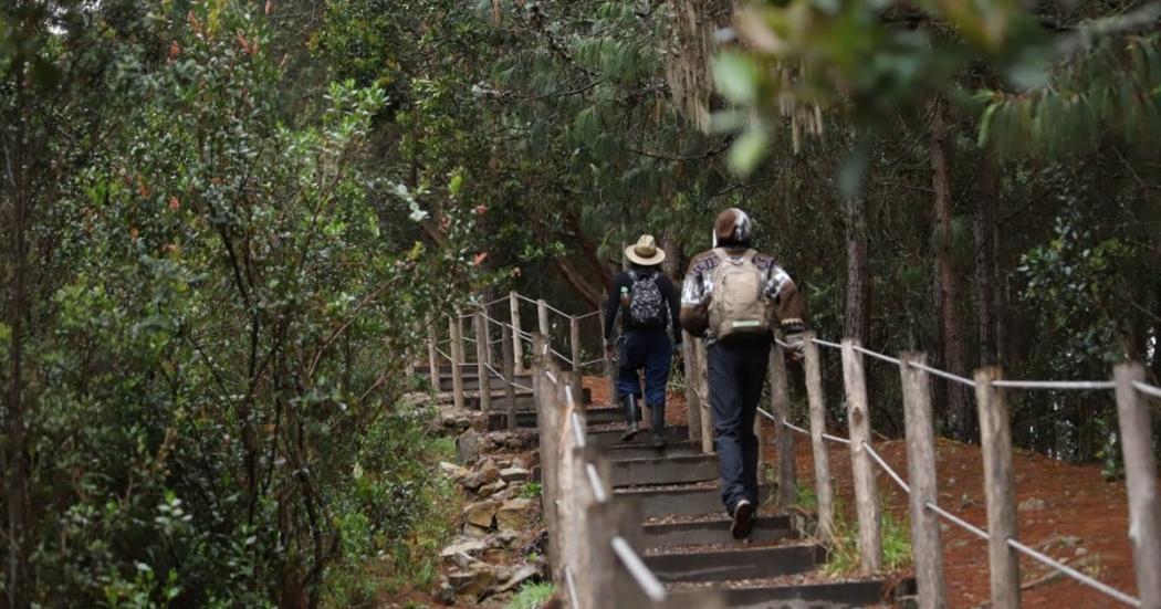 Haz caminata romántica en senderos de Bogotá en Amor y Amistad