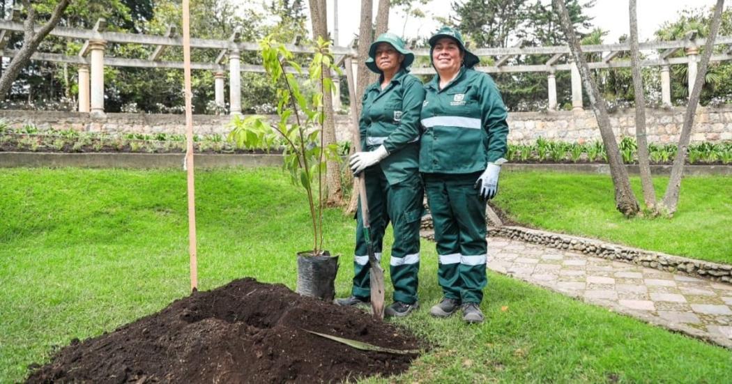 Jardín Botánico da inicio a la segunda fase de Mujeres que Reverdecen 