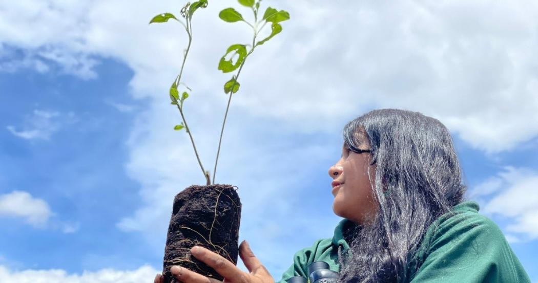 En el Día de la Biodiversidad Distrito plantará 2 mil nuevos árboles 