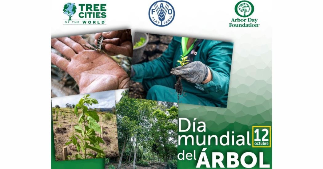 12 de octubre 2022: Bogotá conmemora el Día Mundial del Árbol 🌳