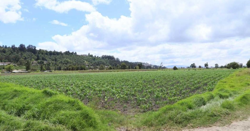 Bogotá adiciona más de 4.000 hectáreas de áreas de importancia hídrica