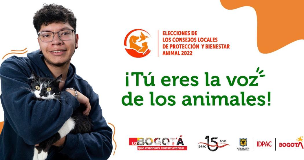 Consejo Local de Protección y Bienestar Animal elige a sus miembros