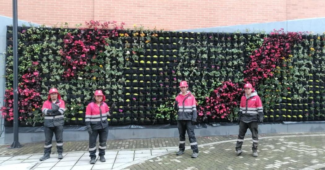 Con jardines verticales los jóvenes de Idipron le cambian cara de CDC 