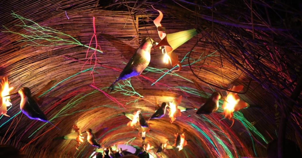 Noche de velitas: Celebra en el show de luces en el Jardín Botánico 