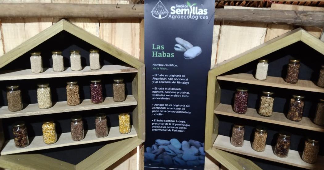 El Jardín Botánico ya tiene su propio banco de semillas en Bogotá