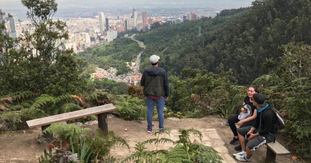 ¿Dónde se puede consultar la calidad del aire en Bogotá? Toma nota