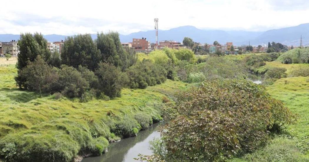 ¿Por qué se celebra el Día Mundial de los Humedales en Bogotá? 👇