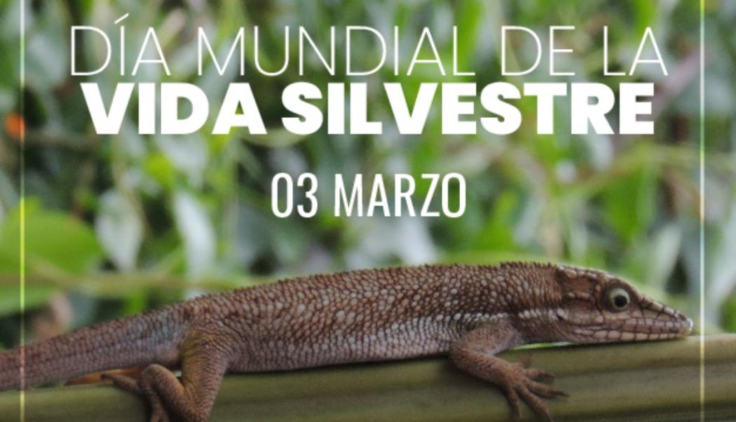 Acueducto se une a la celebración del Día Mundial de la Vida Silvestre