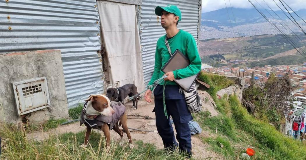 Distrito rescató a tres perros víctima de maltrato en Ciudad Bolívar 