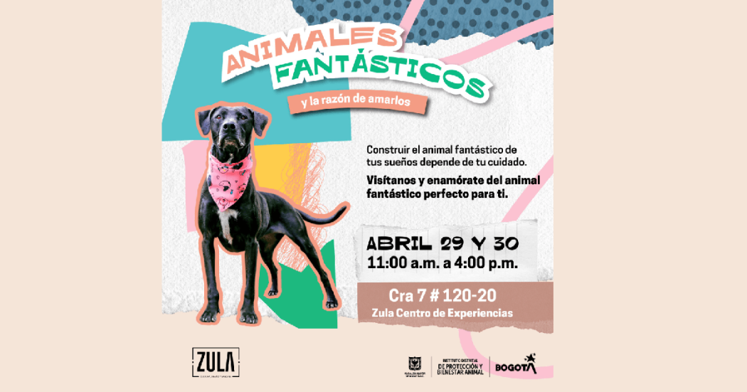 Dónde adoptar perros o gatos en Bogotá. Jornadas 29 y 30 de abril 2023