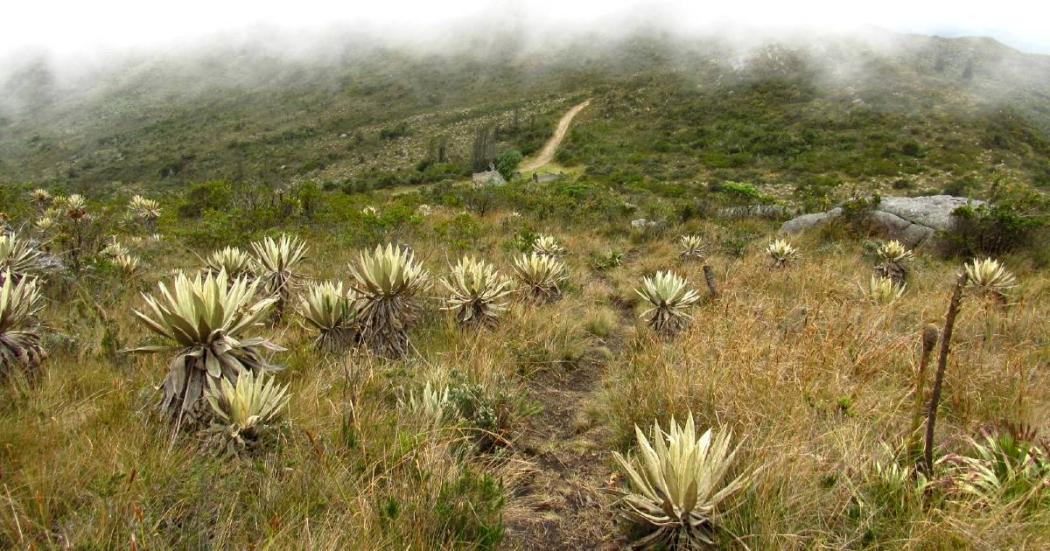 Habilitado nuevo camino en Guadalupe-Aguanoso por Sec. de Ambiente 