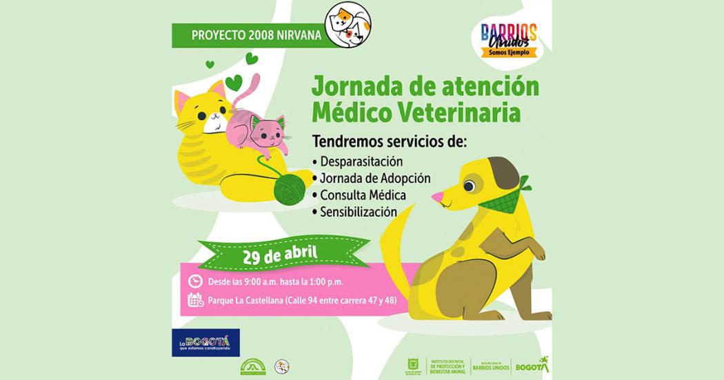 Cuida a tu mascota en la Jornada Médico Veterinaria en Barios Unidos ¡Es gratis!