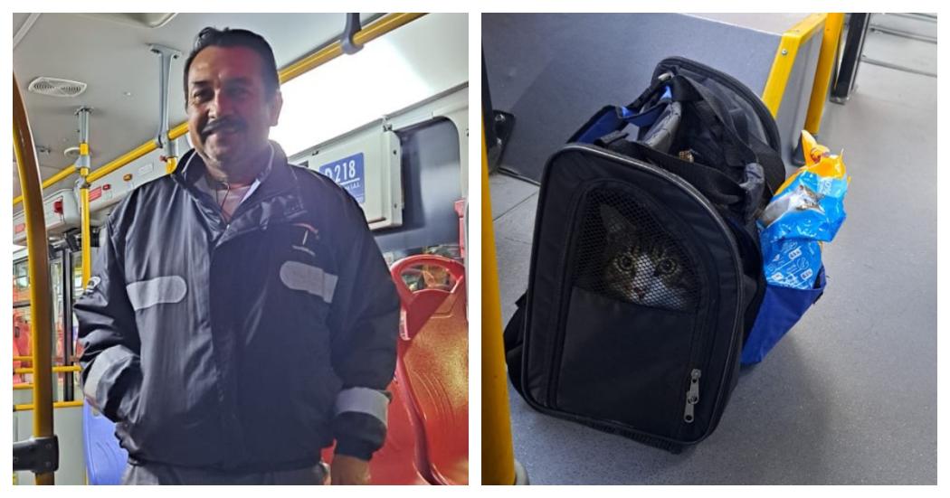 Gatito abandonado en bus de TransMilenio fue adoptado por conductor